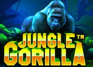 จ้าวเจ๊ง ทางเข้า Jungle Gorilla ทดลองเล่นฟรี